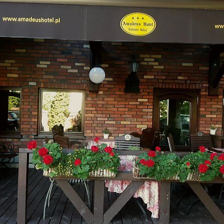 Amadeus Hotel Zielona Gora Dış mekan fotoğraf