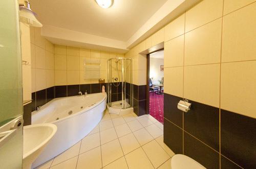 Amadeus Hotel Zielona Gora Dış mekan fotoğraf